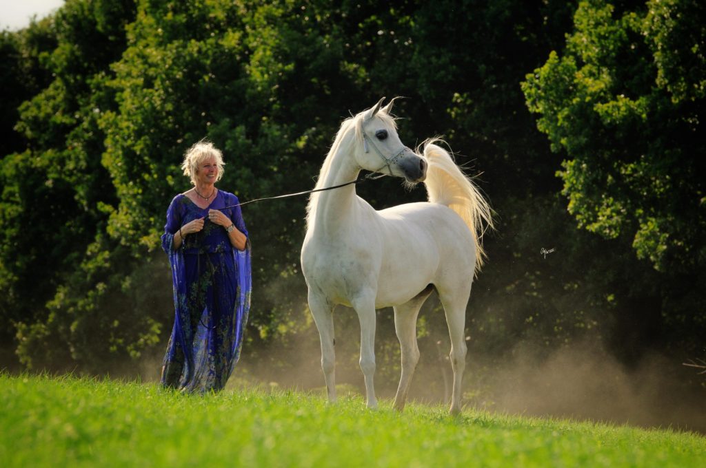 Ethereal picture of AV Dancing Rain, Flicka, White arabian mare with her owner caroline reid who is wearing a beautiful purple dress