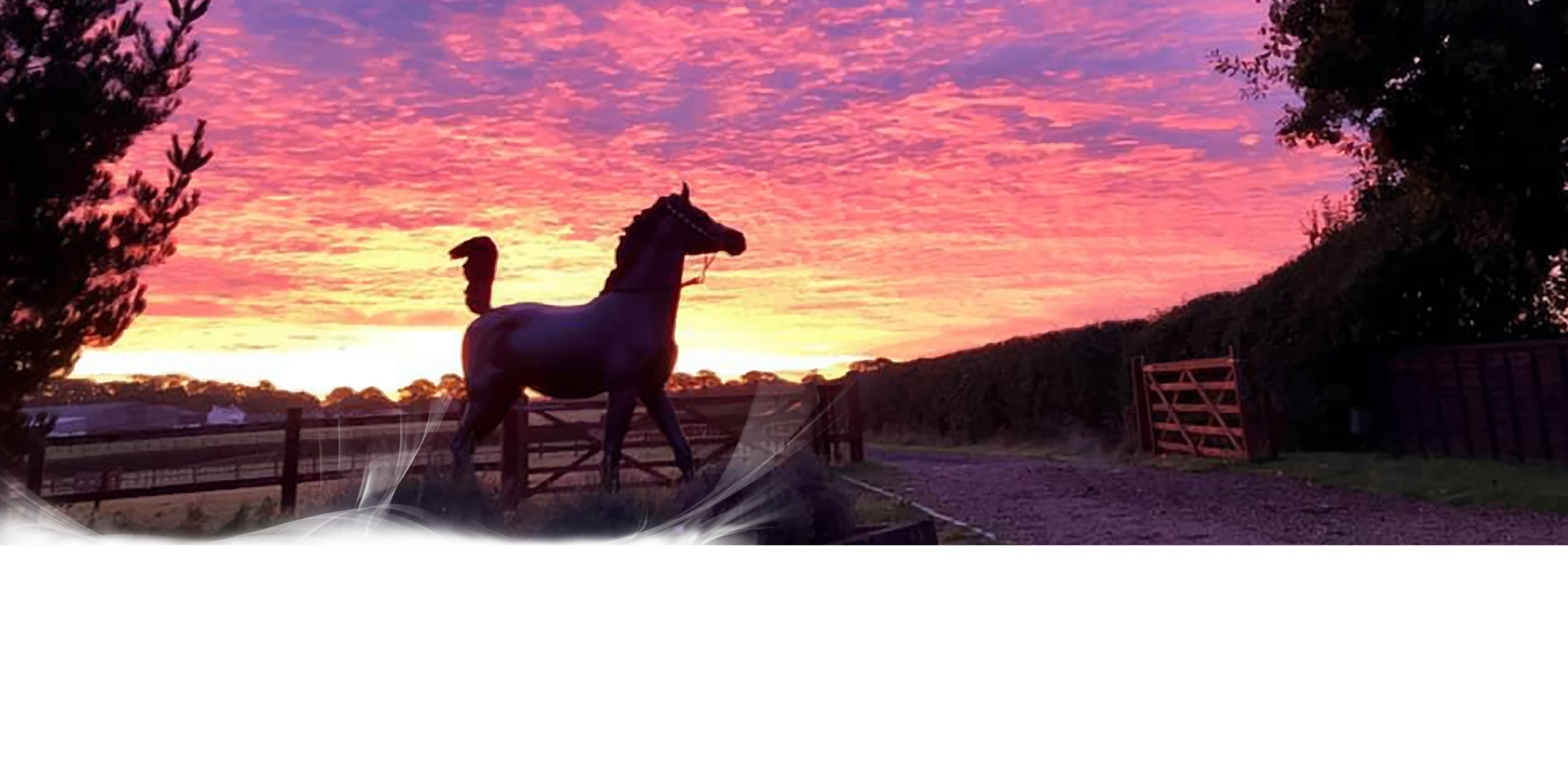 bronze statue of arabian foal in the sunset
