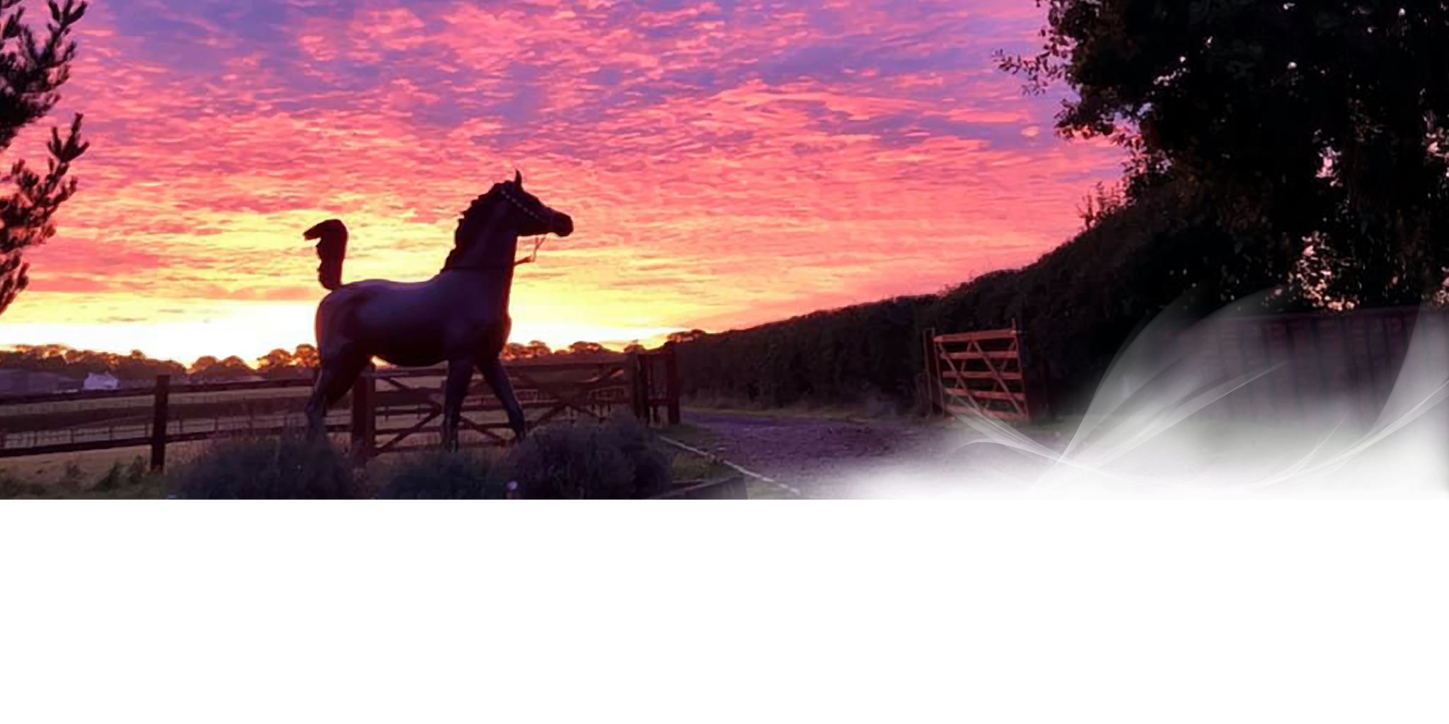 Sunset with bronze statue of arabian foal