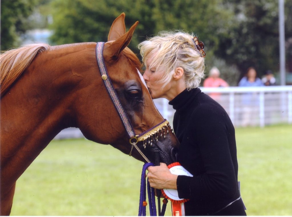 Kiss on the forehead of a chestnut arabian mare after she's won the show