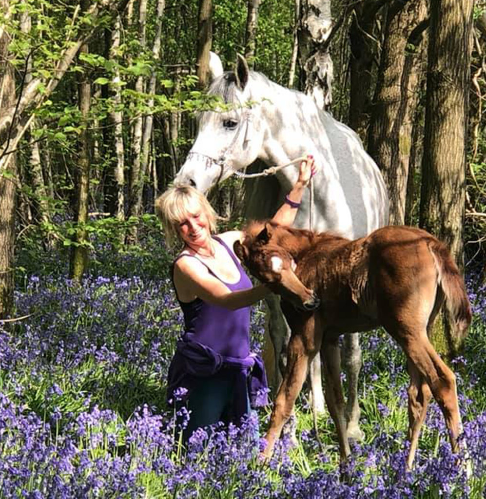 white arabian mare standing in a bluebell forest with her cute chestnut filly foal and their breeder