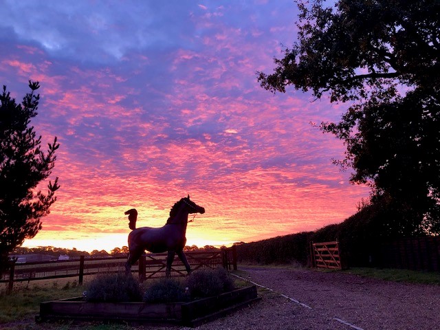 Colourful sunset in England with a bronze statue of an Arabian horse